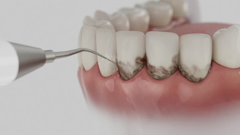 Reliable Dental contractor in Northumberland County County, VA by Dentist Open Now